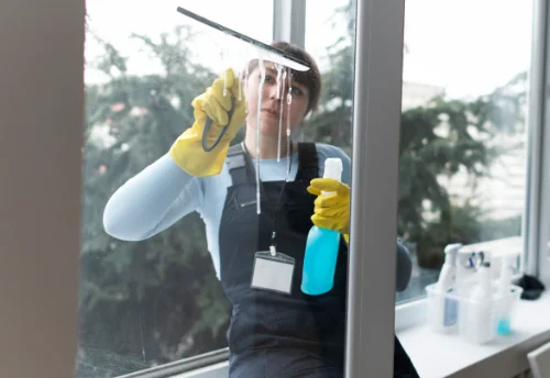 Nettoyage de vitres intérieures et extérieures à Tessy-Bocage